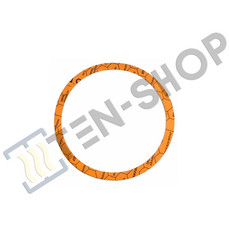 Прокладка ТЭНа для STM 20-40, SHW..., FCR 21/60